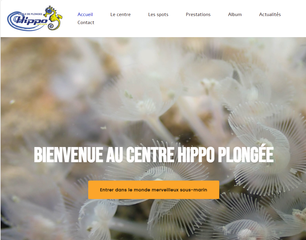 Plongée Hippo - diving school
